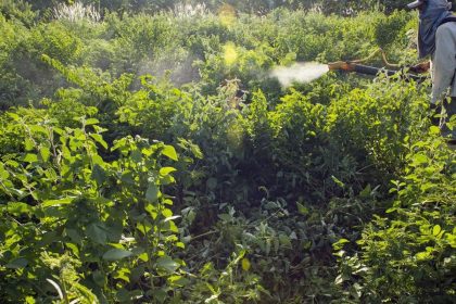 campanha-denuncia-agronegocio-por-contaminacoes-com-uso-de-agrotoxicos