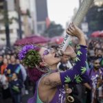 personalidade-curiosa-pode-ser-o-principal-fator-para-o-uso-recreativo-de-cannabis