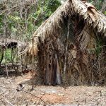 dpu-afirma-que-consulta-previa-nao-se-aplica-a-indigenas-isolados