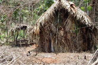 dpu-afirma-que-consulta-previa-nao-se-aplica-a-indigenas-isolados