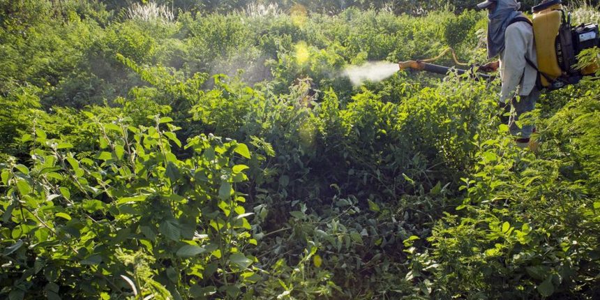 agrotoxicos-atingem-populacao-ja-em-vulnerabilidade,-diz-especialista