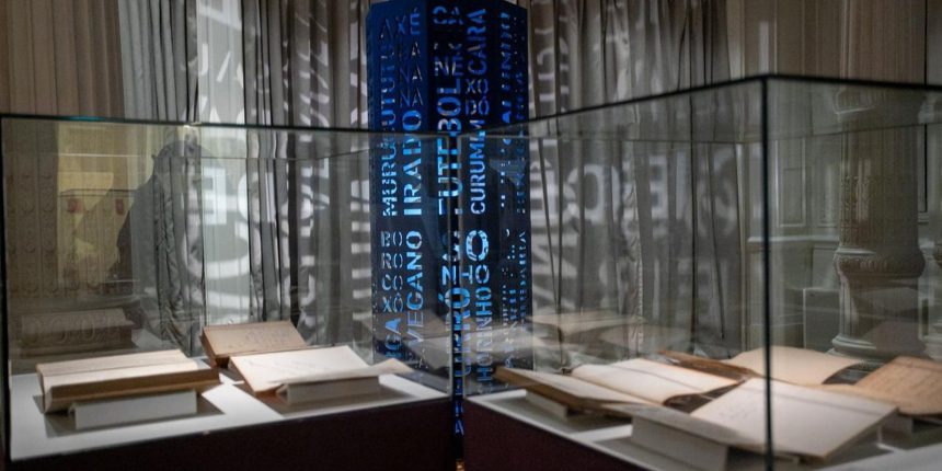 exposicao-em-brasilia-celebra-50-anos-do-dicionario-aurelio