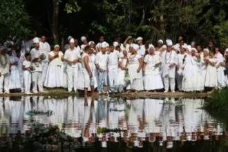 20-de-novembro:-um-dia-para-celebrar-e-refletir-sobre-o-legado-e-a-historia-afro-brasileira