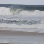 consciencia-ambiental-cresce-em-areas-com-projetos-de-longa-duracao