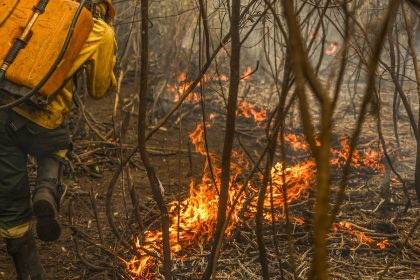 governo-lanca-painel-inedito-para-rastrear-gastos-ambientais