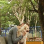 cade-aprova-fusao-entre-petz-e-cobasi-com-restricoes