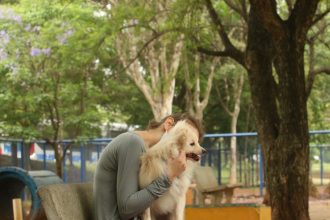 cade-aprova-fusao-entre-petz-e-cobasi-com-restricoes