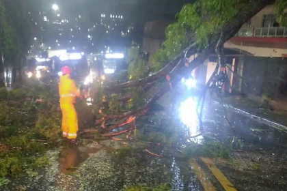 ciclone-deixa-2-milhoes-de-clientes-sem-energia-em-sao-paulo