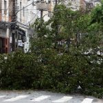 prefeitura-fecha-todos-os-parques-de-sao-paulo-por-causa-dos-ventos