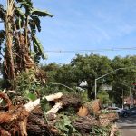 sao-paulo-enfrenta-ventos-de-quase-100-km/h-nesta-quarta-feira