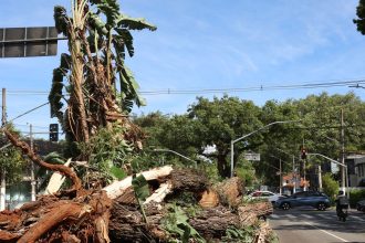 sao-paulo-enfrenta-ventos-de-quase-100-km/h-nesta-quarta-feira