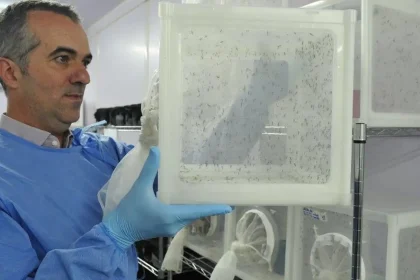 brasileiro-criador-do-“aedes”-que-bloqueia-dengue-e-eleito-pela-nature