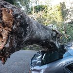 sao-paulo-enfrenta-ventos-de-quase-100-km/h-nesta-quarta-feira