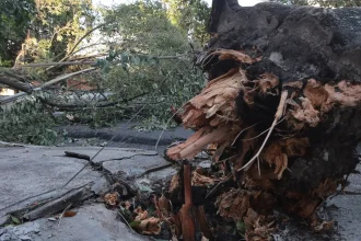 midr-reconhece-situacao-de-emergencia-em-21-municipios 