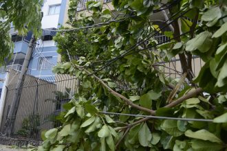 rio-registra-fortes-ventos-devido-a-passagem-de-frente-fria