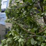 rio-registra-fortes-ventos-devido-a-passagem-de-frente-fria