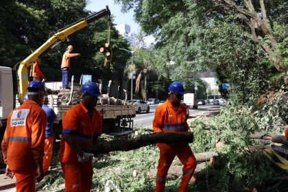 apos-ventania,-sao-paulo-tem-1,5-milhao-de-clientes-sem-energia
