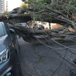 sao-paulo-e-capitais-do-sul-terao-ventos-moderados-nesta-quinta-feira