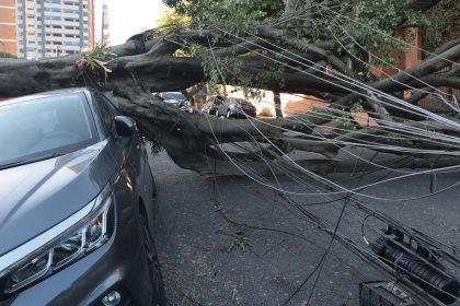 comercio-perde-mais-de-r$-50-milhoes-com-falta-de-energia-em-sao-paulo
