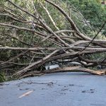 mais-de-1,3-milhao-de-imoveis-continuam-sem-energia-eletrica-em-sp