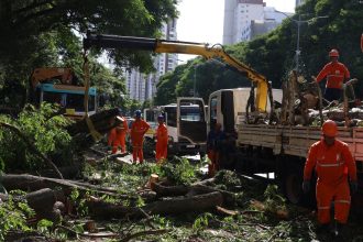 dois-dias-apos-ciclone,-sp-ainda-tem-800-mil-moradores-sem-energia