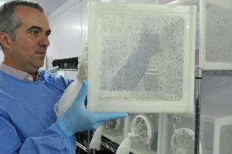 brasileiro-criador-do-“aedes”-que-bloqueia-dengue-e-eleito-pela-nature