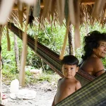 brasil-lidera-numero-de-povos-isolados,-mas-ha-lacunas-na-protecao