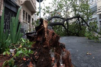 em-embu-guacu,-em-sp,-apagao-deixa-61%-dos-moradores-sem-luz