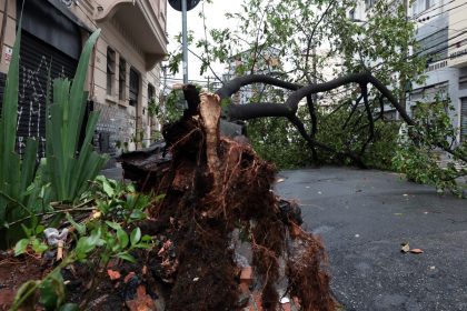 em-embu-guacu,-em-sp,-apagao-deixa-61%-dos-moradores-sem-luz