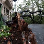 em-embu-guacu,-em-sp,-apagao-deixa-61%-dos-moradores-sem-luz