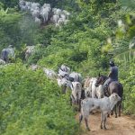 operacao-em-terra-indigena-no-para-resulta-em-mais-um-assassinato