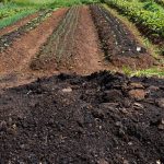 cmn-amplia-socorro-a-produtores-afetados-pelo-clima