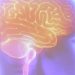 projeto-artemis-avalia-genetica-de-pacientes-que-sofreram-avc