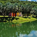 museu-inhotim,-em-minas-gerais,-tem-recorde-de-visitacao-em-2025